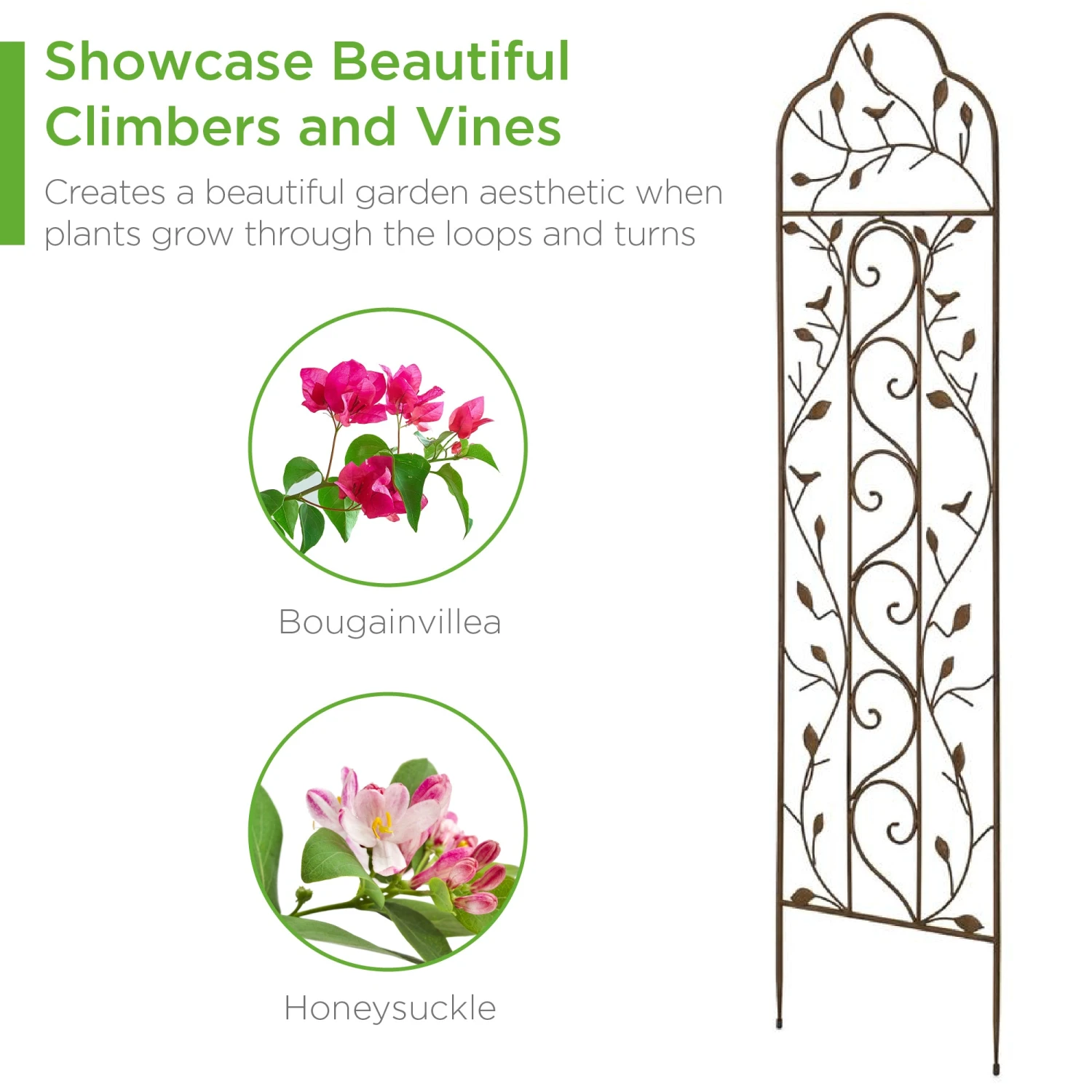 Best Choice Products Set Of 2 Iron Arched Garden Trellis - Image 4